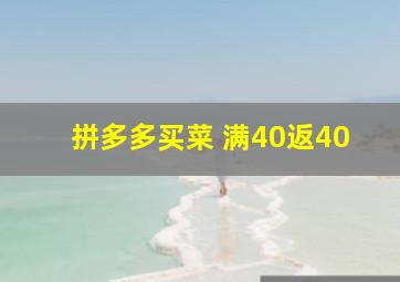 拼多多买菜 满40返40